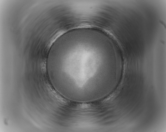 X0000102821409200808181235