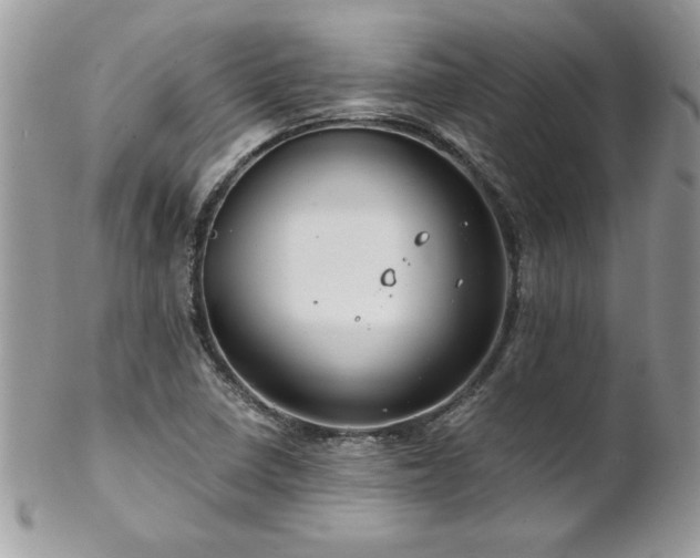 X0000102821410200808181235