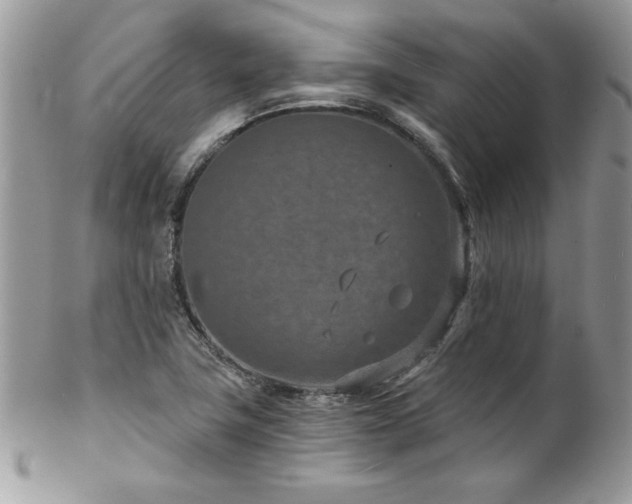 X0000102821411200808181235