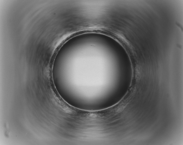 X0000102821412200808181235