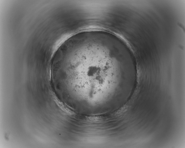 X0000102821413200808181235