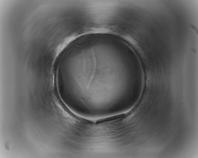 X0000102821414200808181235