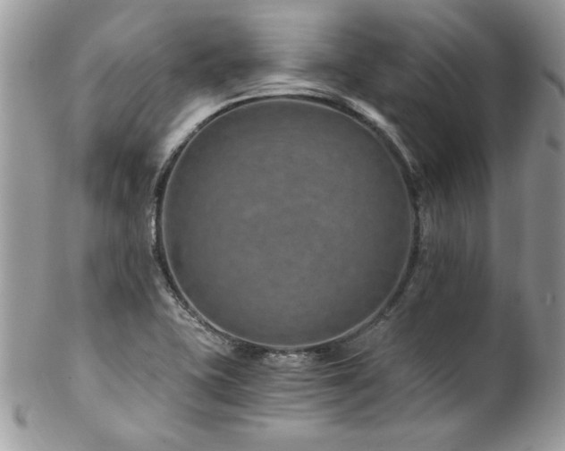 X0000102821415200808181235