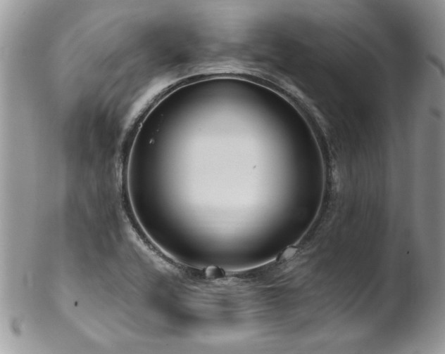 X0000102821416200808181235