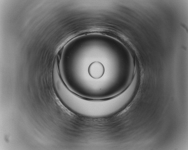 X0000102821417200808181235