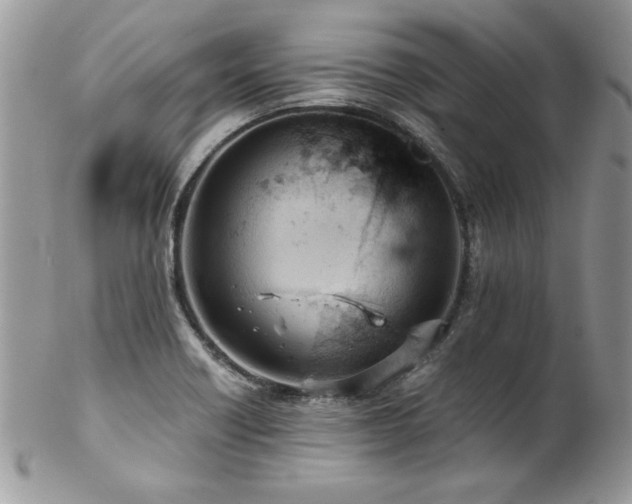 X0000102821418200808181235