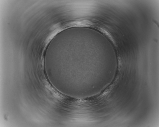 X0000102821419200808181235