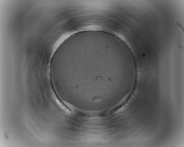 X0000102821421200808181236