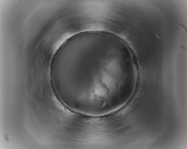 X0000102821422200808181236
