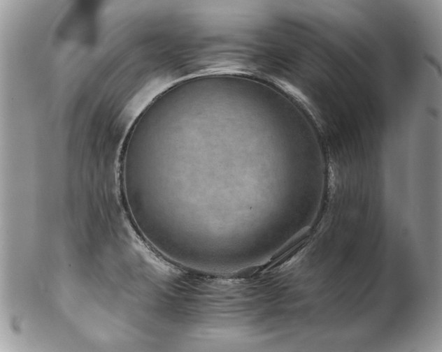 X0000102821423200808181236