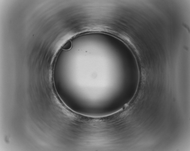 X0000102821424200808181236