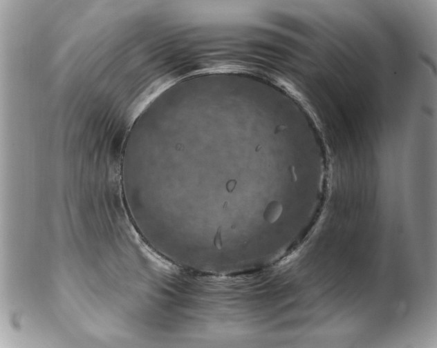 X0000102821425200808181236