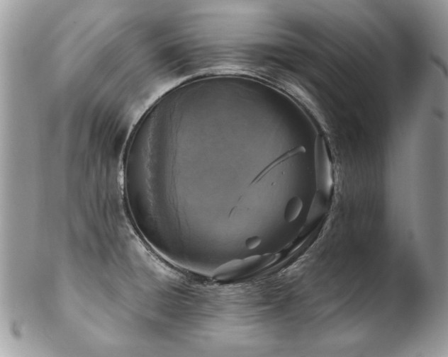 X0000102821428200808181236