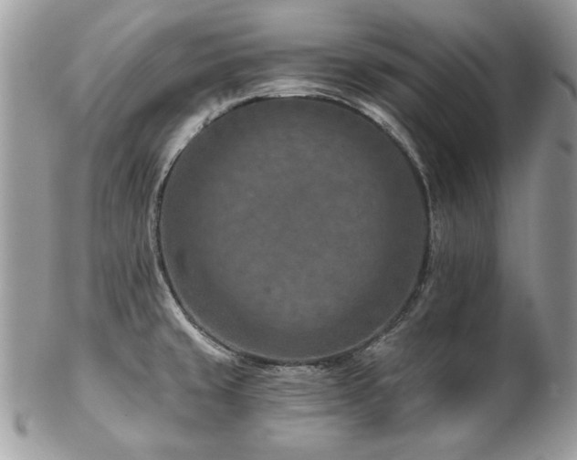 X0000102821429200808181236