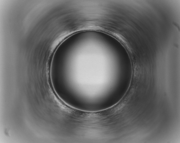 X0000102821430200808181236