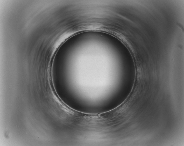 X0000102821432200808181236