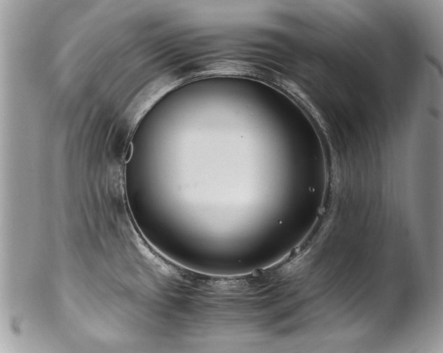 X0000102821433200808181236