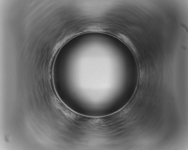 X0000102821435200808181236