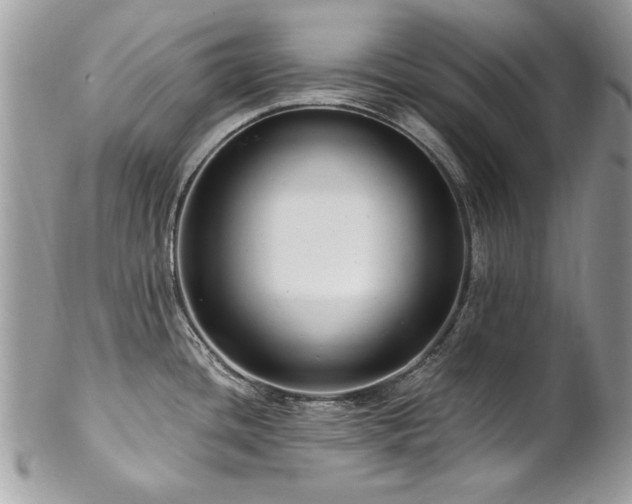 X0000102821436200808181236