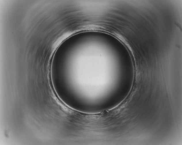 X0000102821437200808181236