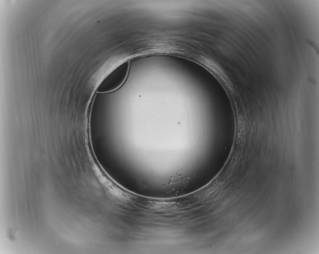 X0000102821439200808181236