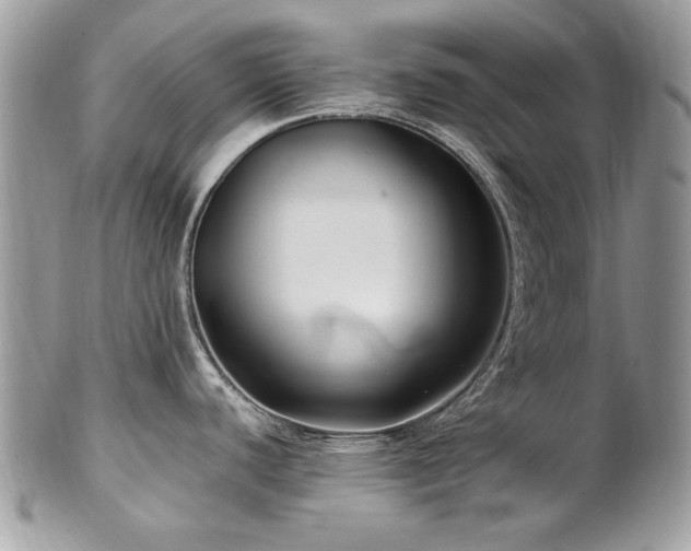 X0000102821440200808181236