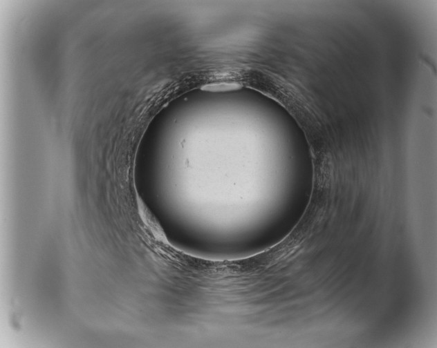 X0000102821441200808181235