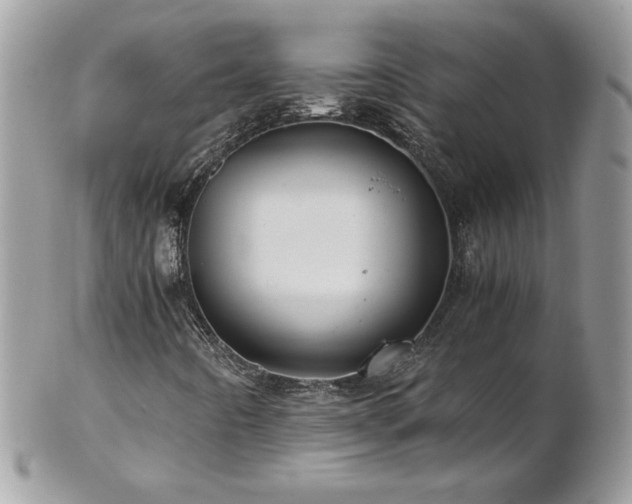 X0000102821442200808181235