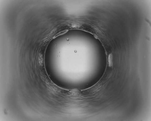 X0000102821443200808181235
