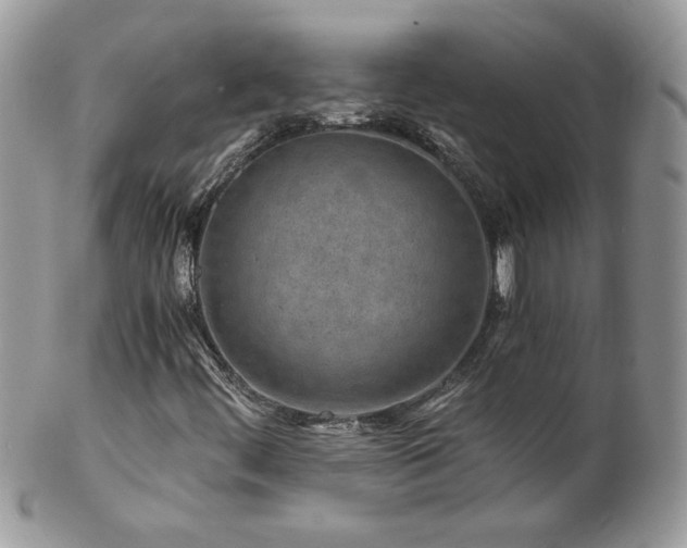 X0000102821444200808181235