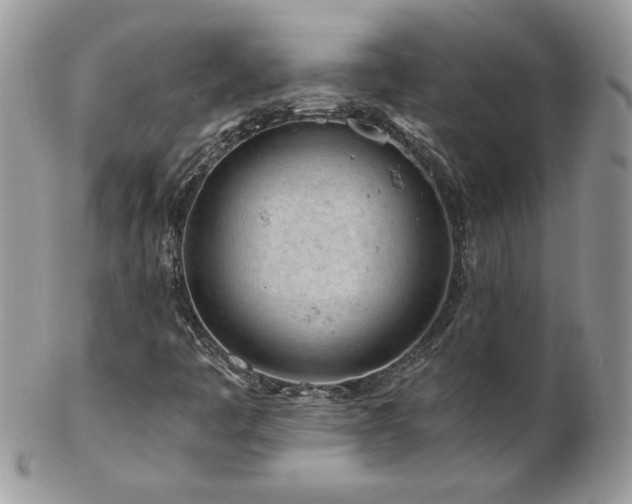 X0000102821445200808181235