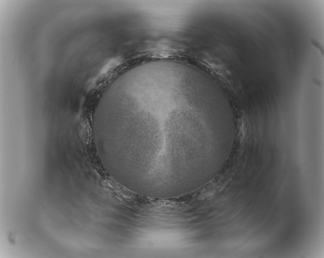 X0000102821446200808181235