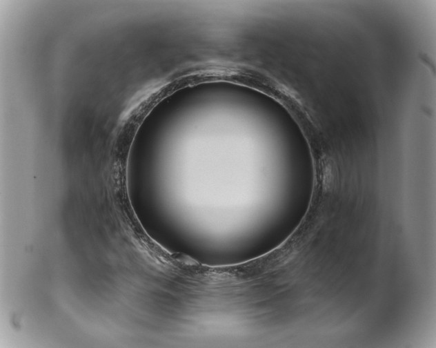 X0000102821448200808181235
