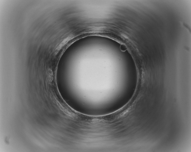 X0000102821449200808181235