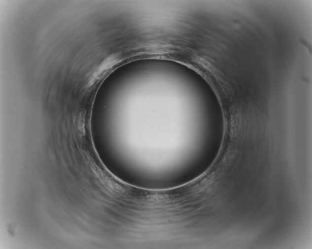 X0000102821451200808181235