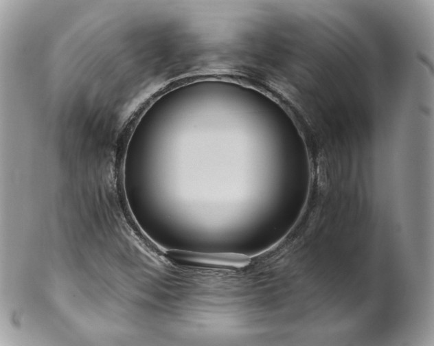 X0000102821452200808181235