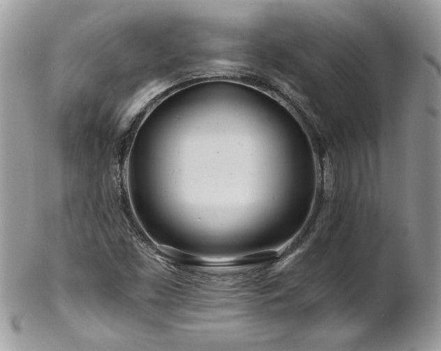 X0000102821453200808181235