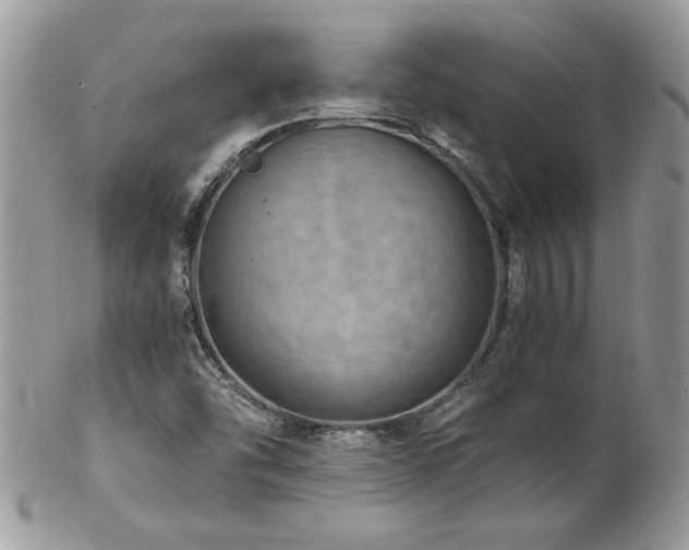 X0000102821454200808181235