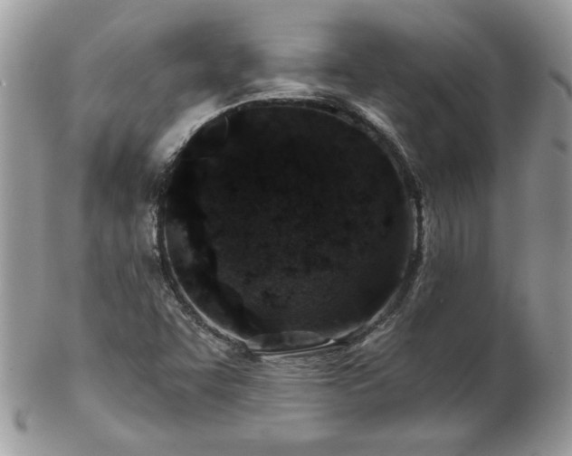 X0000102821455200808181235