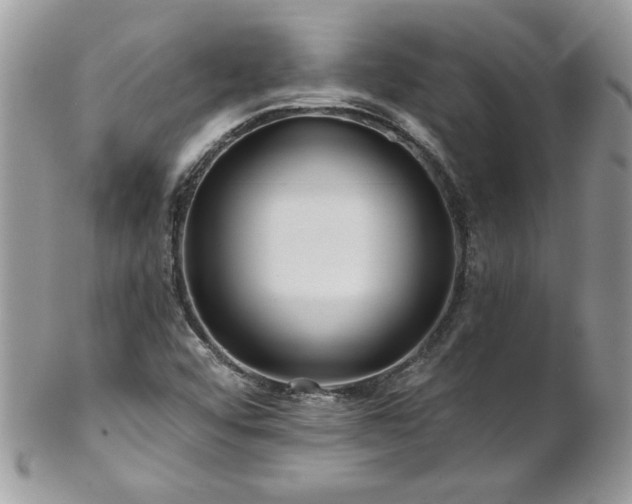 X0000102821456200808181235