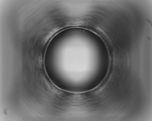 X0000102821457200808181235