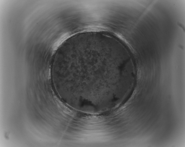 X0000102821459200808181235