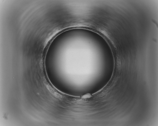 X0000102821460200808181235