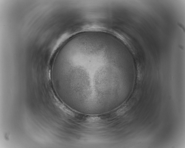 X0000102821462200808181235