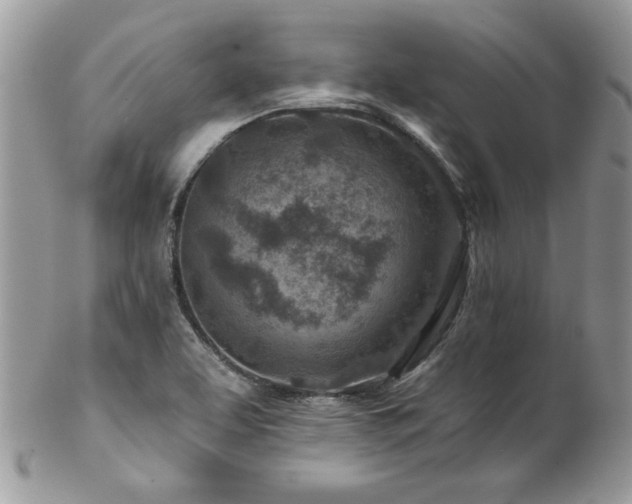 X0000102821463200808181235