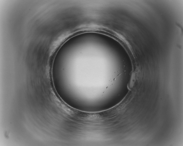 X0000102821464200808181235