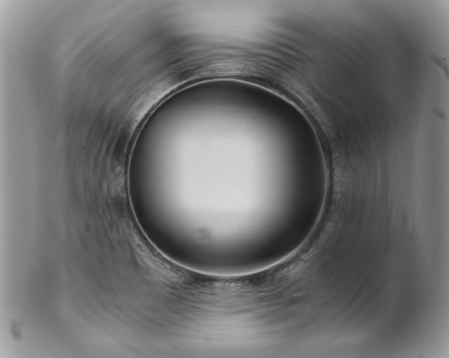 X0000102821465200808181235