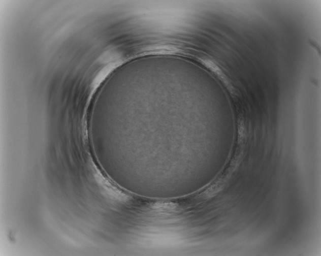 X0000102821466200808181235