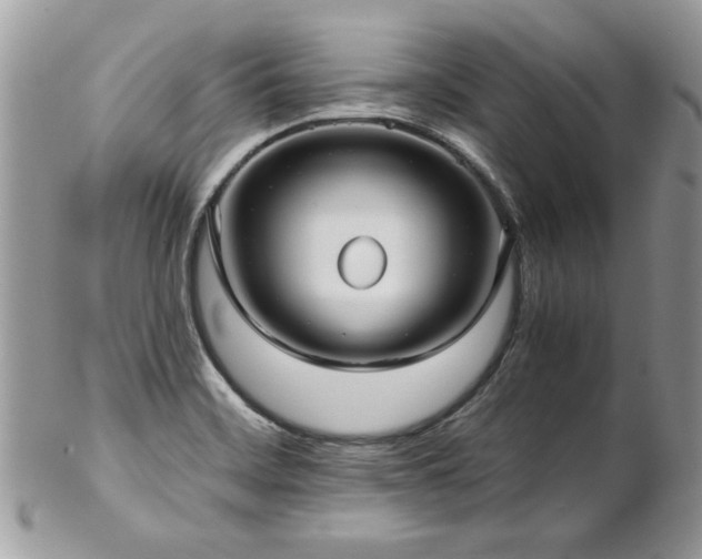X0000102821468200808181235