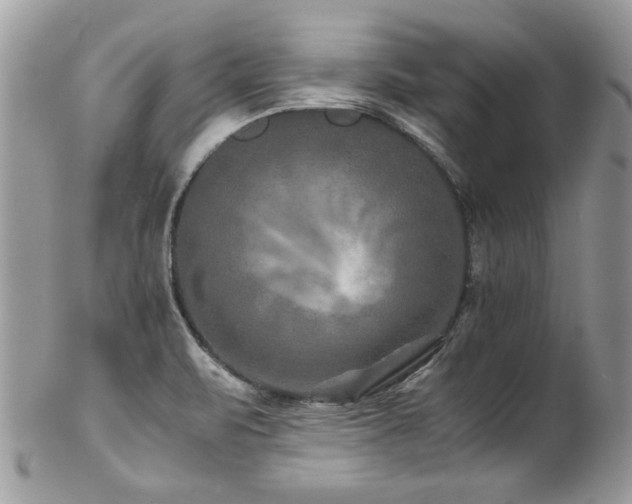 X0000102821471200808181235
